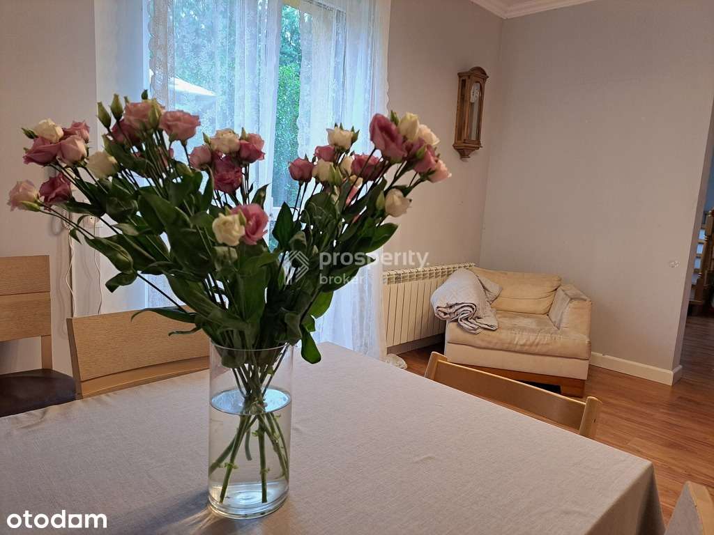 Działka inwestycyjna 4800 m2 z domem - Pełny obrazek: 4/19