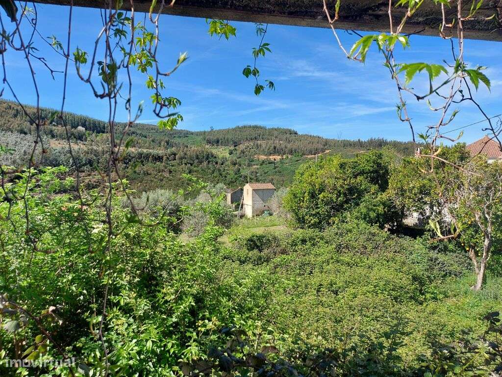 Venda Moradia - Grande imagem: 5/6