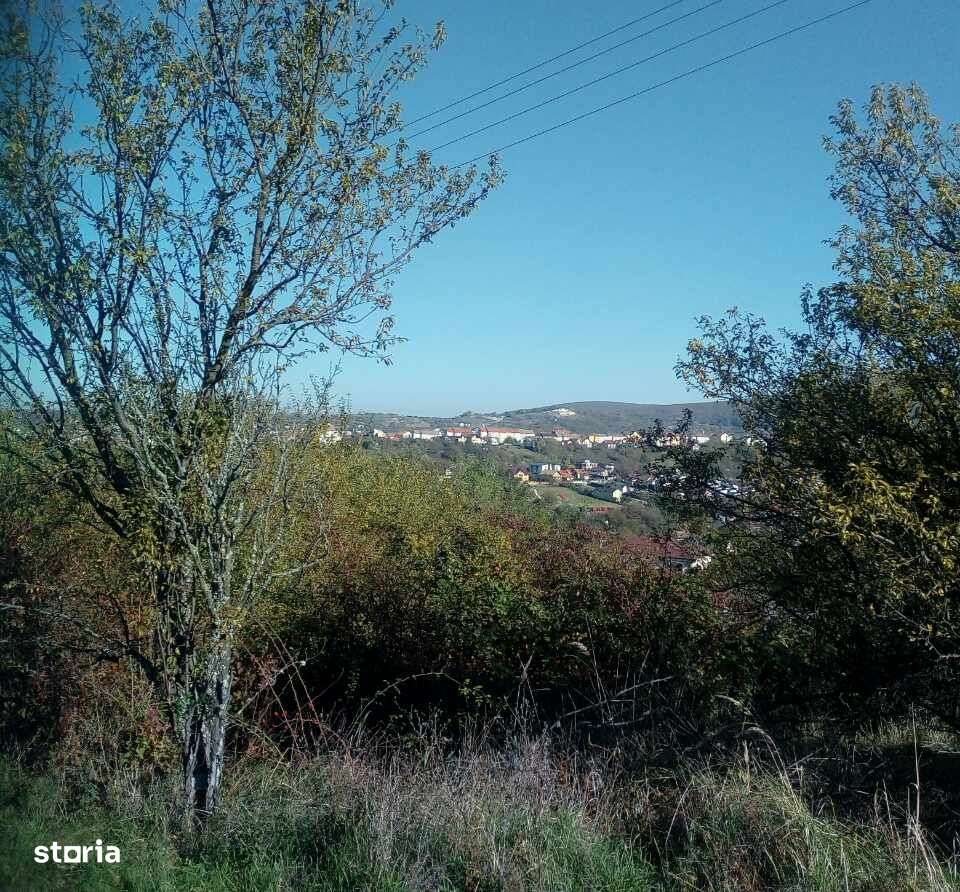 Teren intravilan, 42 ari, Str. 22 Dec. - Imagine principală: 4/4