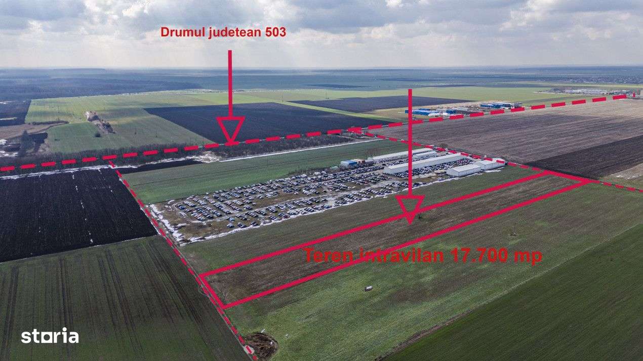 Teren intravilan Belciugatele*300 m de DJ503*Linie de tensiune medie* - Imagine principală: 3/8