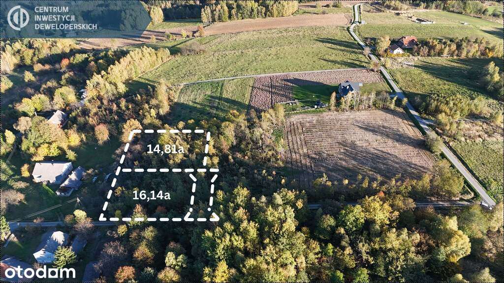 Ładna Budowlana działka 14,8a Lubenia z WZ - Pełny obrazek: 2/12