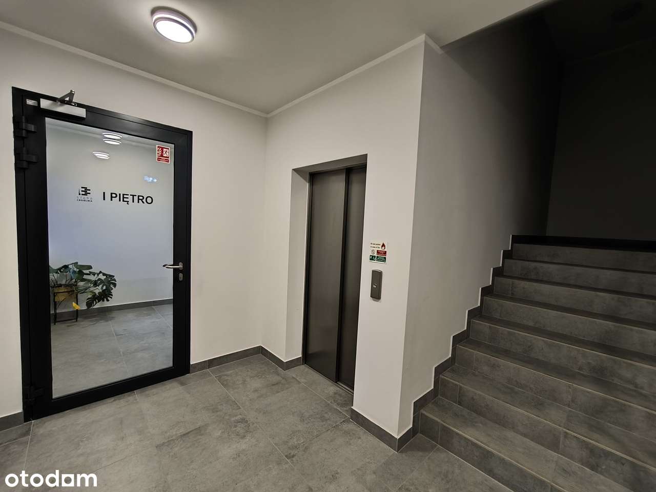 Blisko centrum, wśród zieleni-5