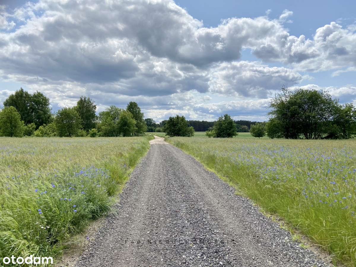 Malownicza działka nad rzeką Bug-12