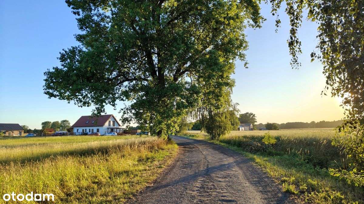 Działka inwest w gm Nekla – 30 km od Poznania-4