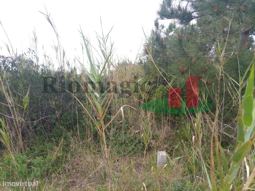 Terreno - Estrada Atlântica***RIOMAGIC*** - Grande imagem: 5/19