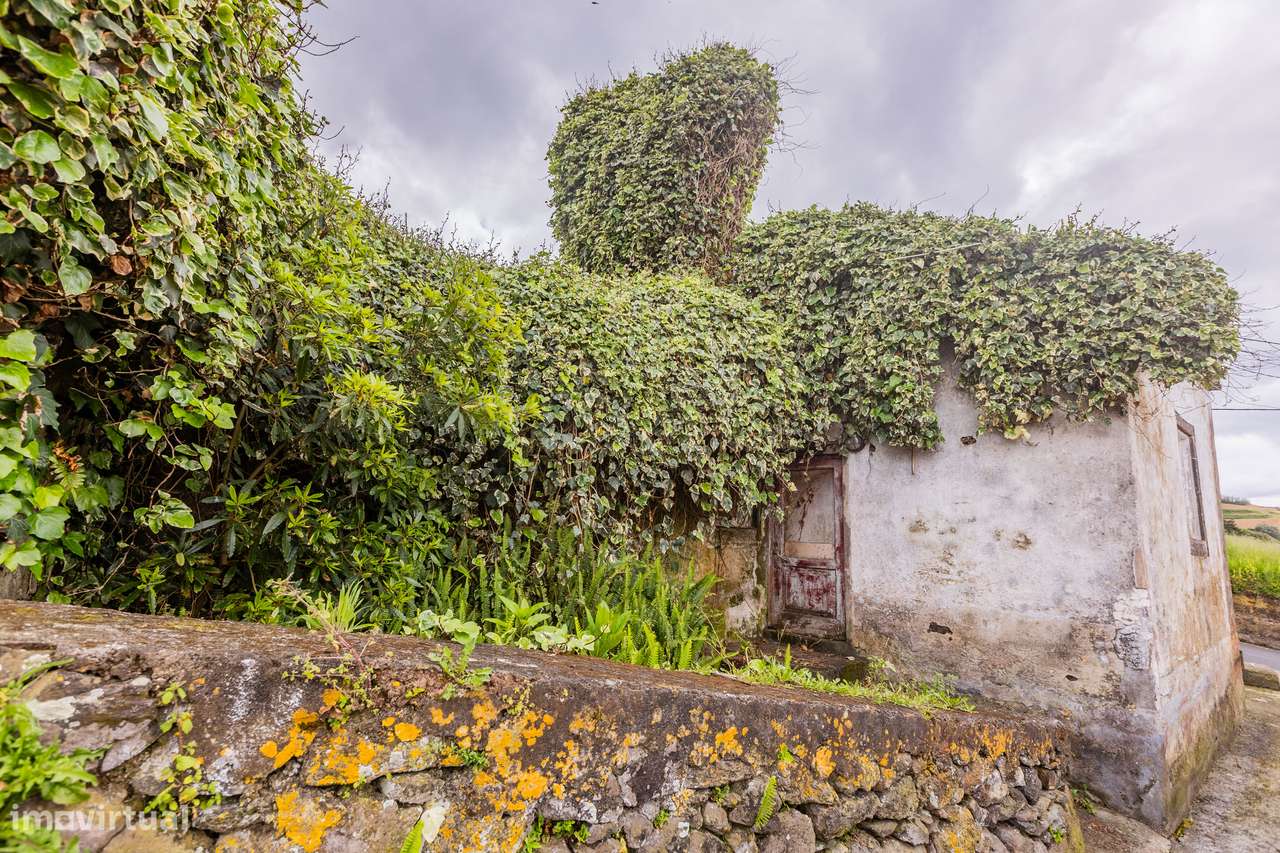 Moradia em ruína - Santana - Grande imagem: 4/13