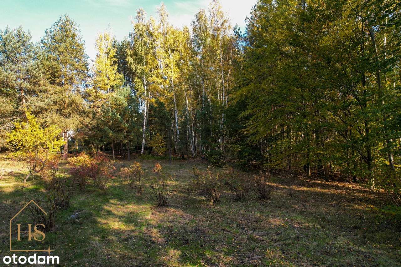 Piękna działka pod zabudowę/Zalesie gm. Żabia Wola/35 min od Wa-wy-11