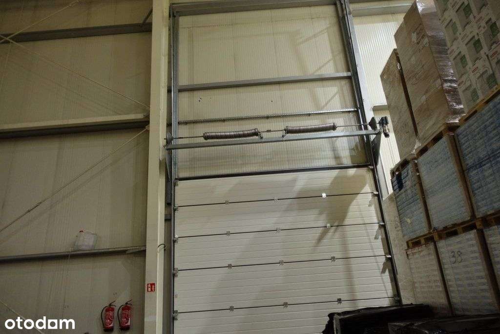 hala magazynowa - Pełny obrazek: 5/15