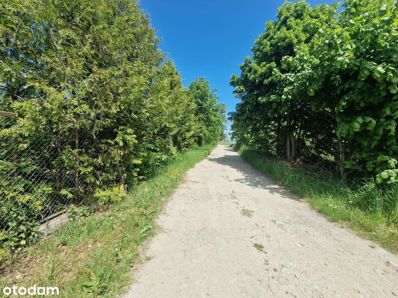 Działka Śmiechów 4 km od morza - Pełny obrazek: 4/5