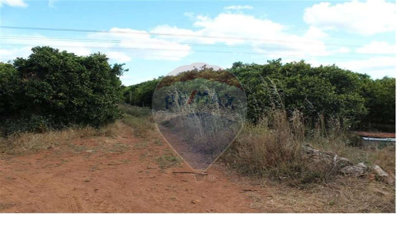 Terreno  para venda - Grande imagem: 3/16