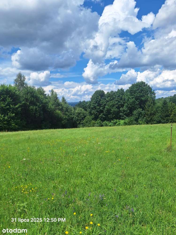 Działka z pięknym widokiem - Stryszowa - Pełny obrazek: 5/5