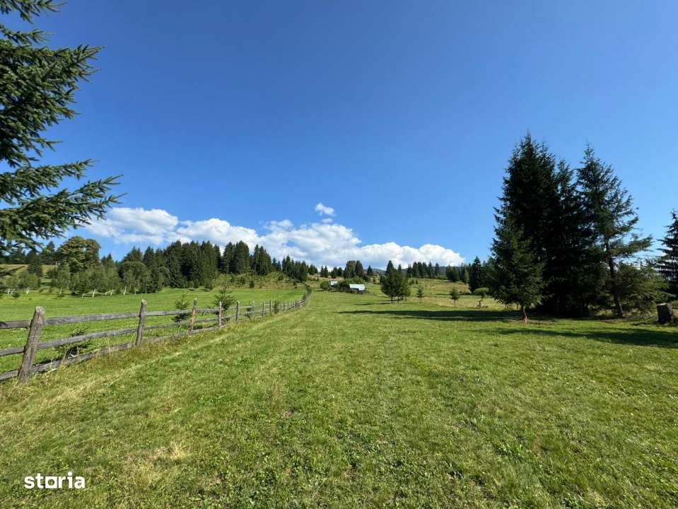 Vanzare 33400 parcelat- 18 loturi - Plaiul Sarului la sosea- microdezv-5