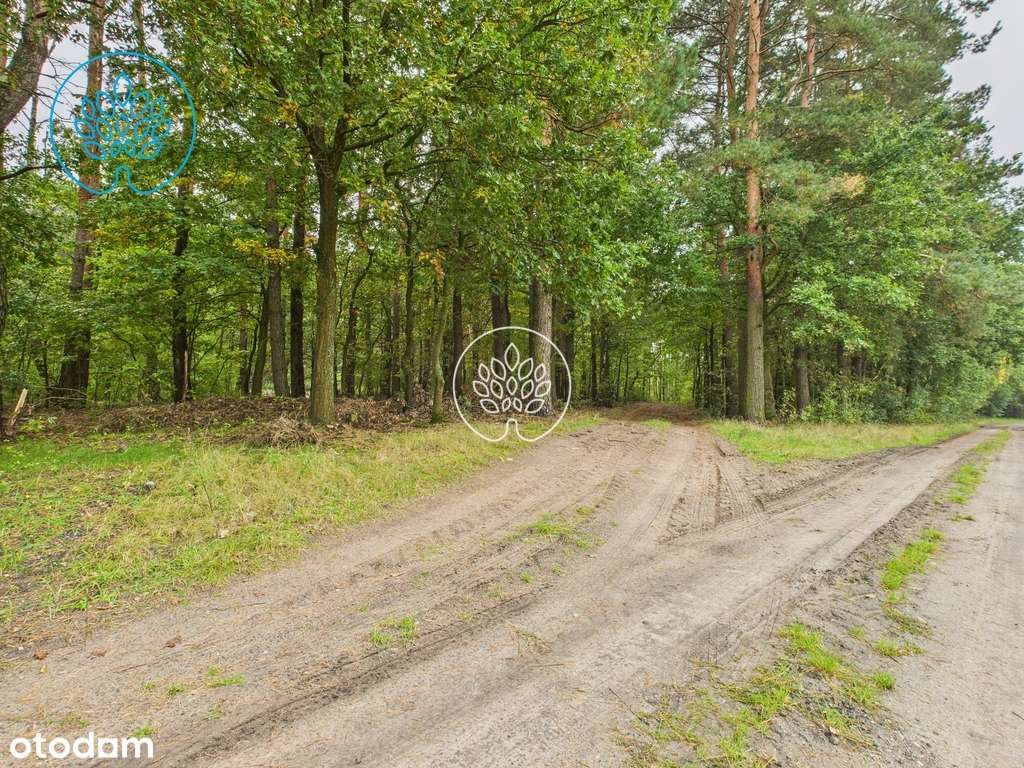 Działka inwestycyjna 34 700 m2 - Pełny obrazek: 5/8