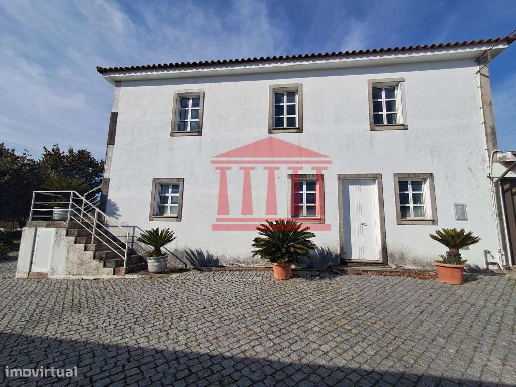 QUINTINHA COM CASA E ANEXOS - AREIAS - BARCELOS - Grande imagem: 4/18