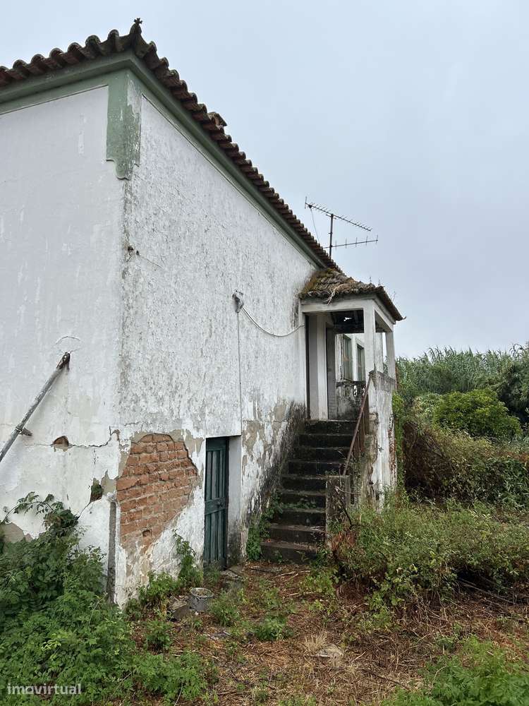 Moradia Rústica com Terreno – Branca-6