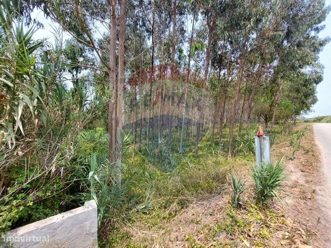 Terreno  para venda - Grande imagem: 2/9