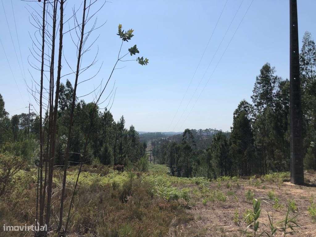 Terreno rústico no Cercal - Grande imagem: 4/10