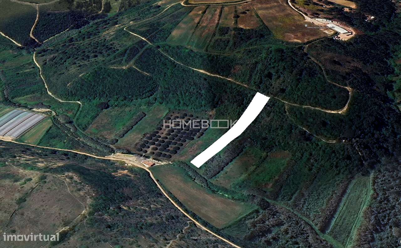 Terreno Rústico de 2032m2 com Curso de Água | Assafora - Sintra - Grande imagem: 4/4