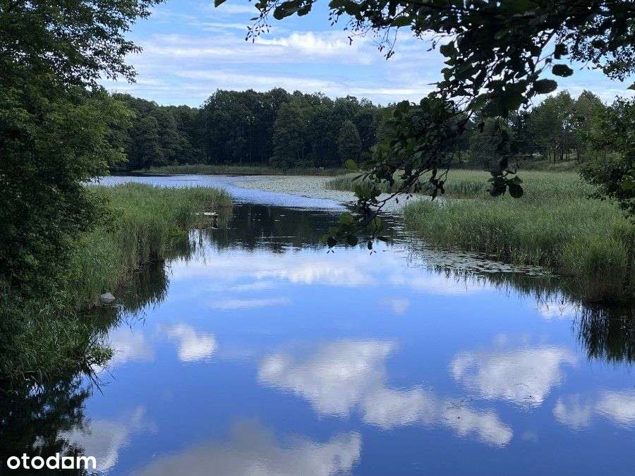 Posiadłość Nad Stawem Klasztorym - Pełny obrazek: 2/8