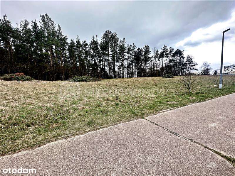 Działka inwestycyjna pod zabudowę wielorodzinną - Pełny obrazek: 2/6