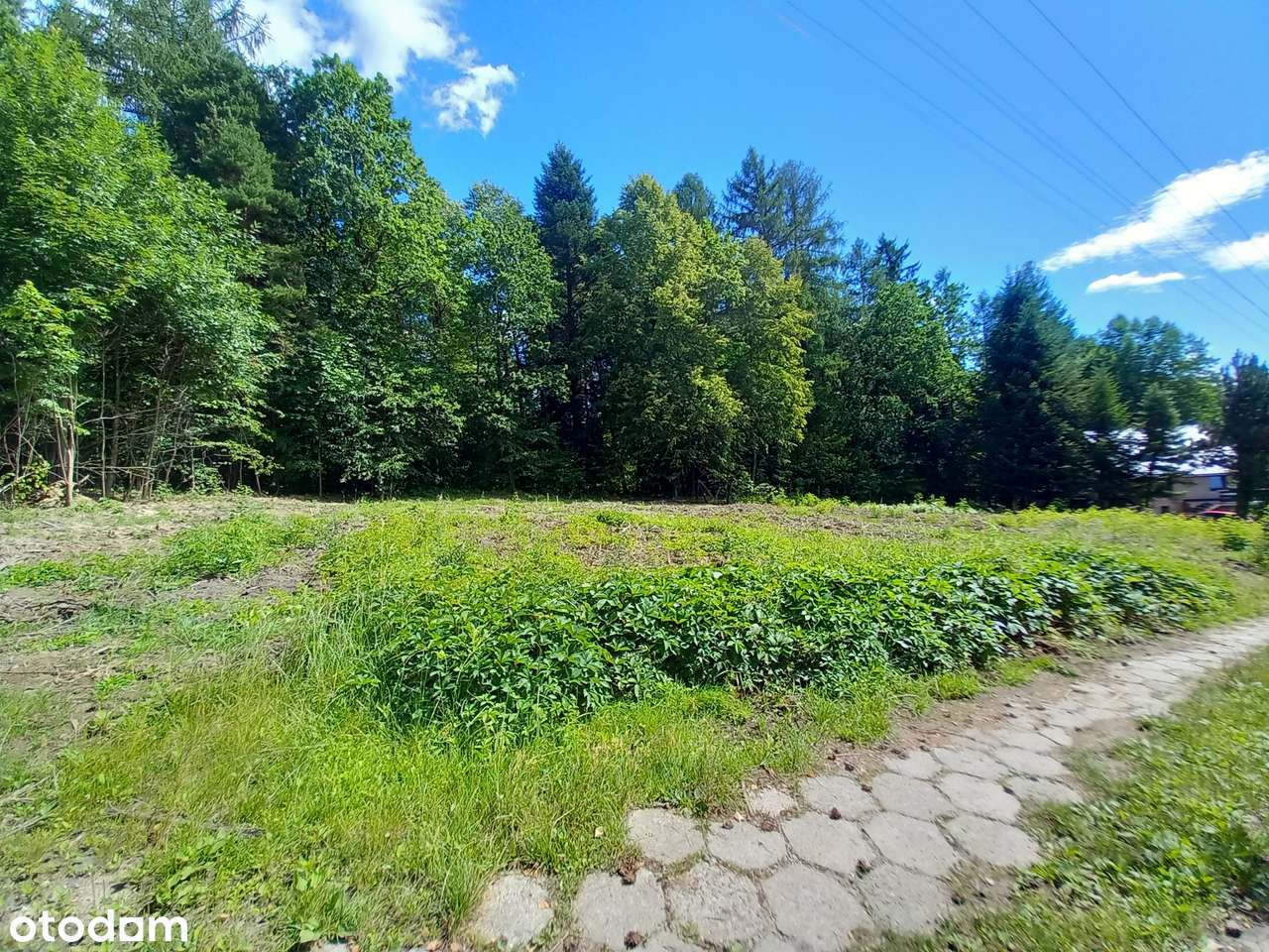 Działka budowlana nad Jeziorem Mucharskim - Pełny obrazek: 4/5