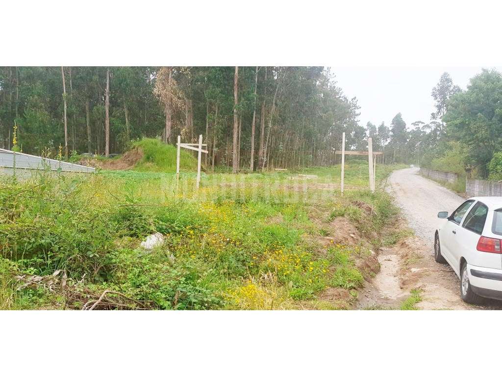 Lote individual Perelhal - Grande imagem: 4/8