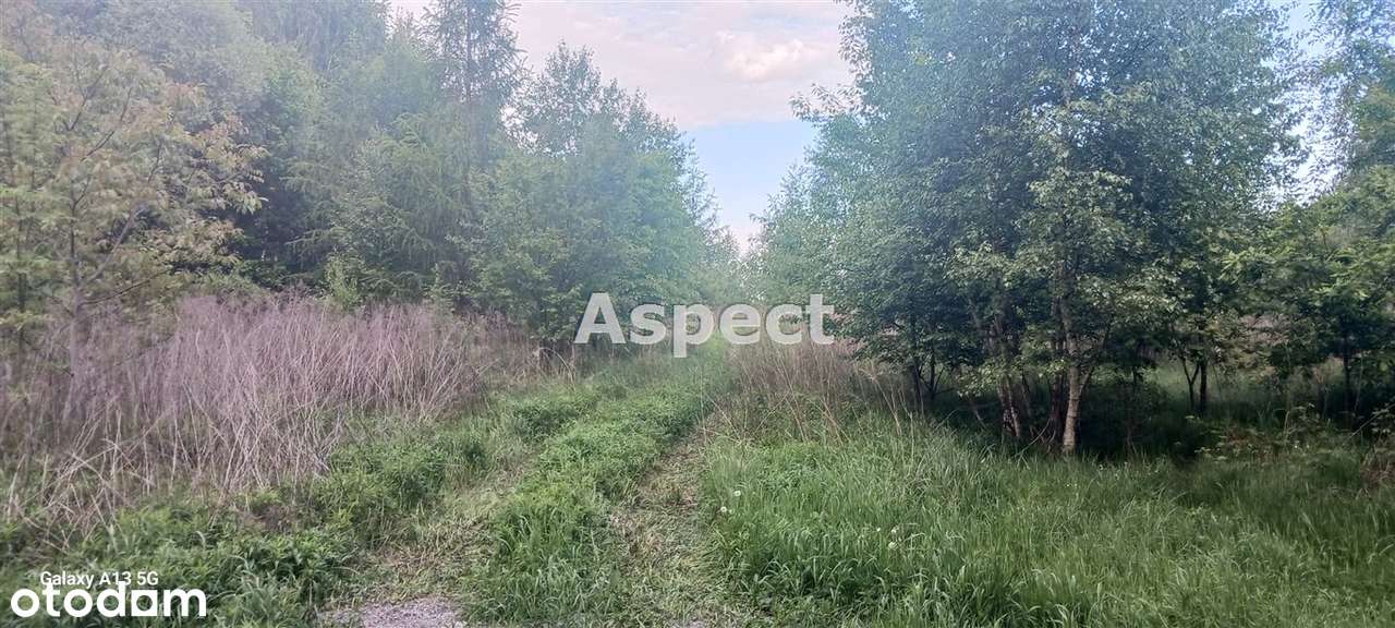 Działka budowlano- rolna w cichej okolicy - Pełny obrazek: 4/7