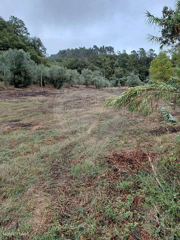 Moradia T3 para venda-26