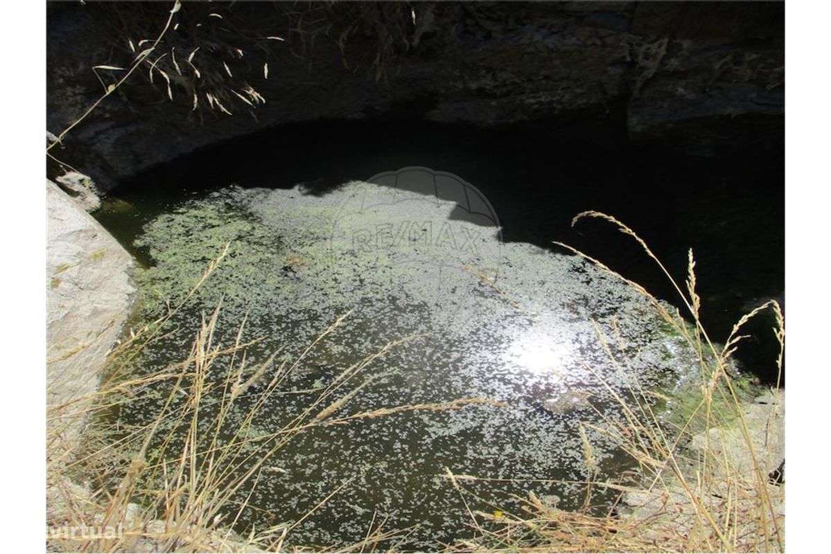 Quinta T0 para venda - Grande imagem: 2/31