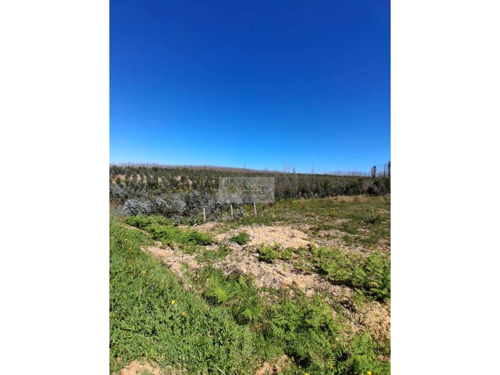 Terreno Urbano com 5.660 m² Espaço, Potencial e Localização - Grande imagem: 4/6