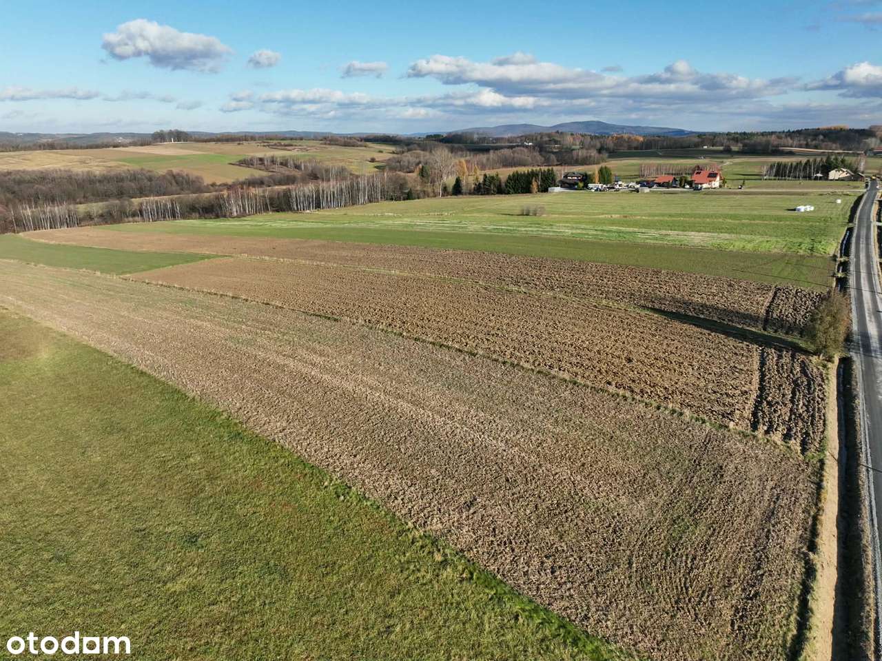 Ponad 1,5 ha działka w Ołpinach gm. Szerzyny-9