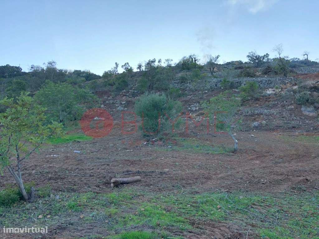 Terreno Urbano em Loulé com Vista Serra e Mar - Grande imagem: 5/5