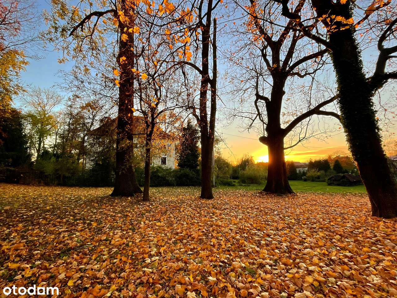 ZABYTKOWY PAŁAC W RYCHNOWIE – WYJĄTKOWA INWESTYCJA-11