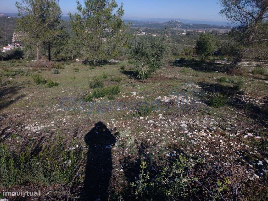 Terreno de 1505m2 urbanizável em Ortiga, Fátima com vista Castelo O...-6