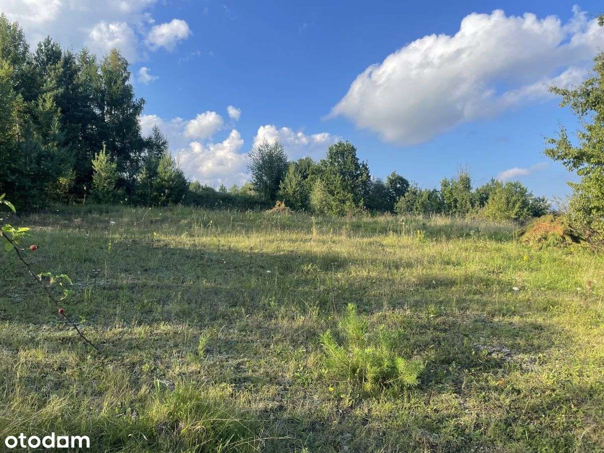 Wyjątkowa działka rekreacyjna - tylko 150 m od jez - Pełny obrazek: 5/12