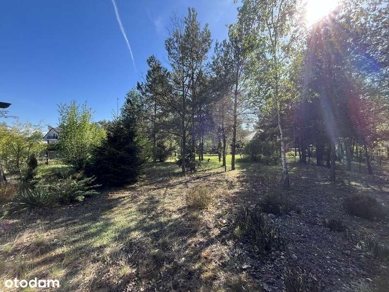 Działka budowlana Augustów 1000m² gm. Pionki - Pełny obrazek: 5/9