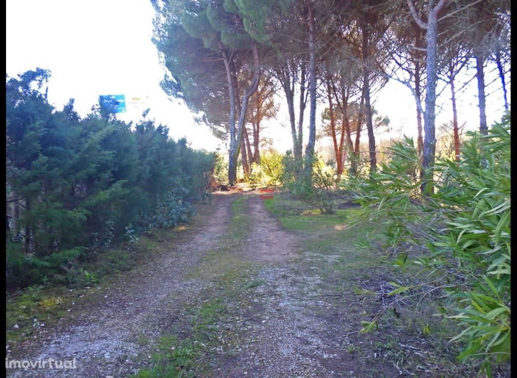 Terreno com casa agrícola e tanque