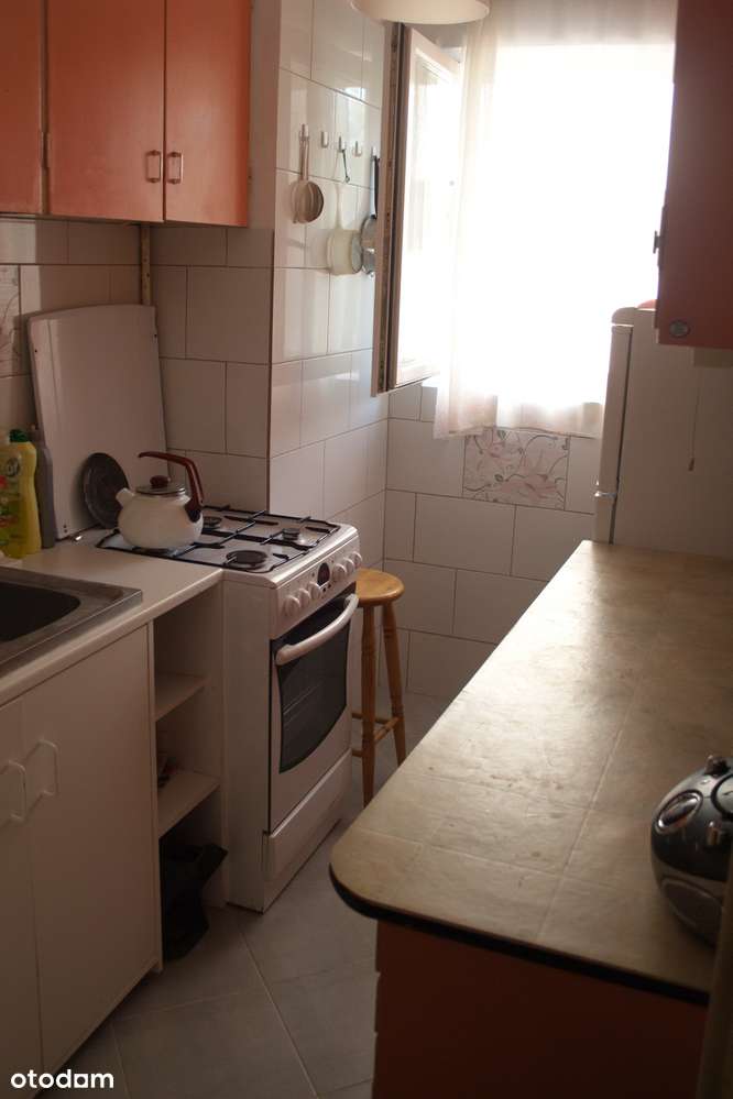 W sercu Powiśla/dobry dojazd do uczelni/Bulwary/Wśród trzech parków - Pełny obrazek: 4/12