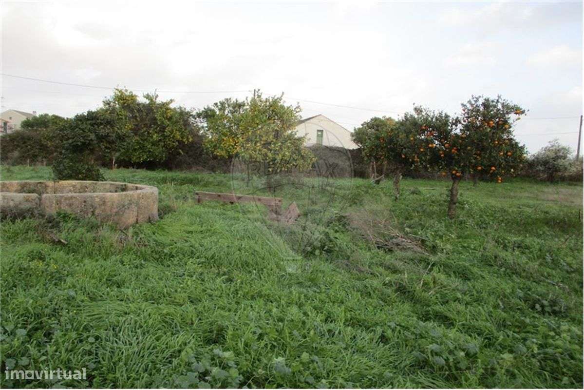 BAIXA DE PREÇO!!! ANTES: 600.000&euro;  AGORA: 500.000&euro; - Grande imagem: 5/34