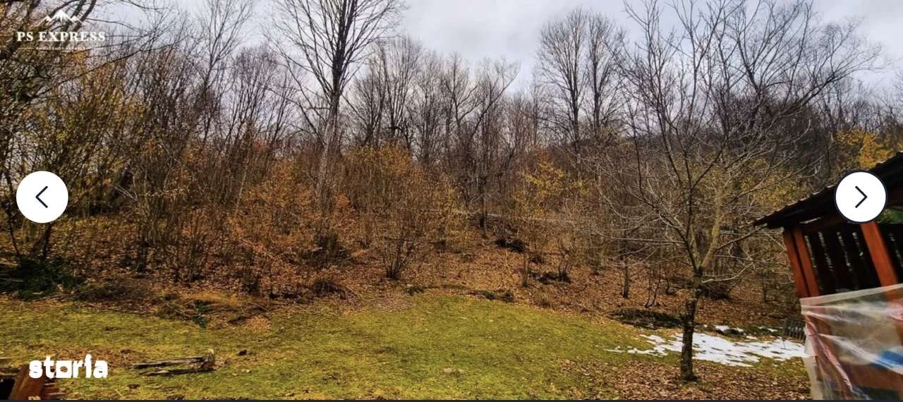 Va propunem spre vanzare PENSIUNE /casa cu 4 camere  Remeti-Bihor - Imagine principală: 5/14