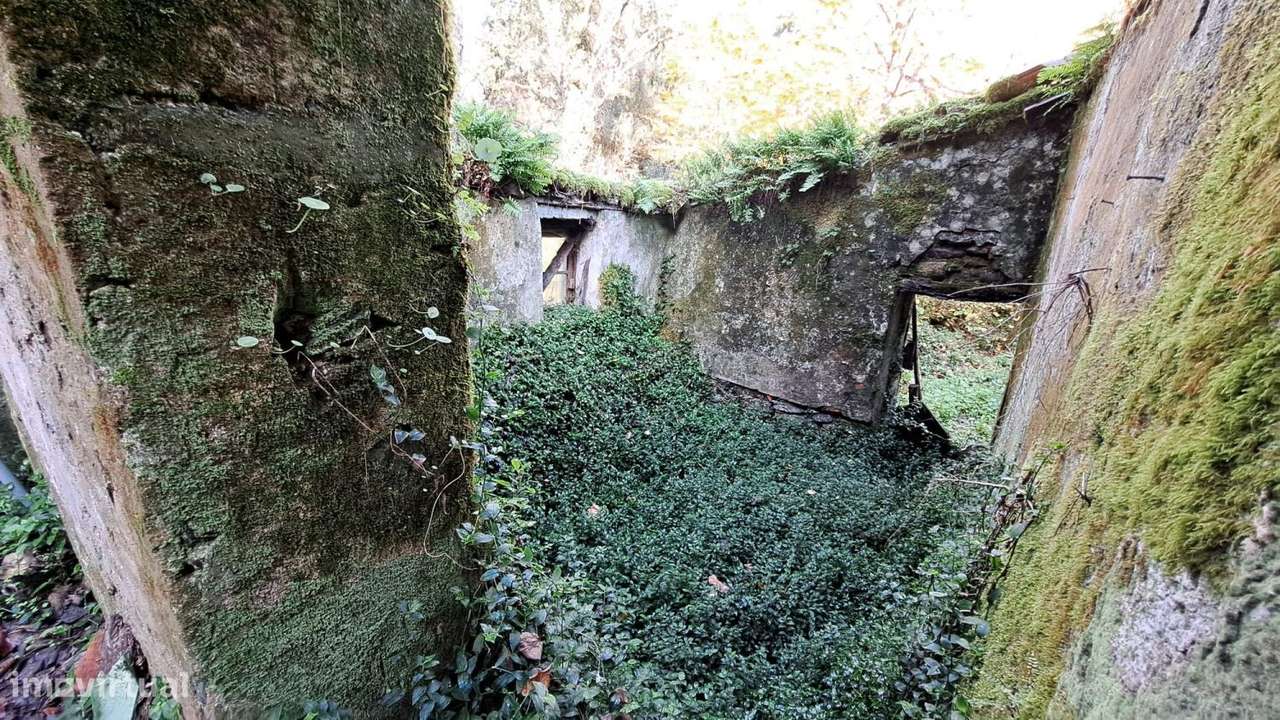 Quinta com casa para recuperar junto a ribeiro-19