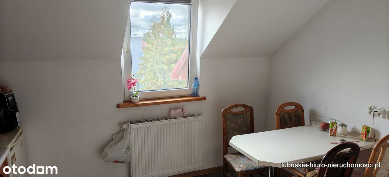 Trzy mieszkania oraz restauracja-9