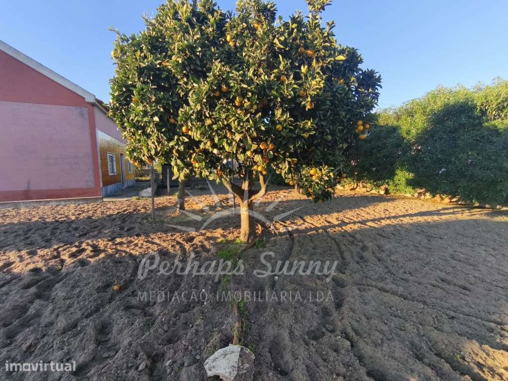 Moradia Melides - Grande imagem: 4/29