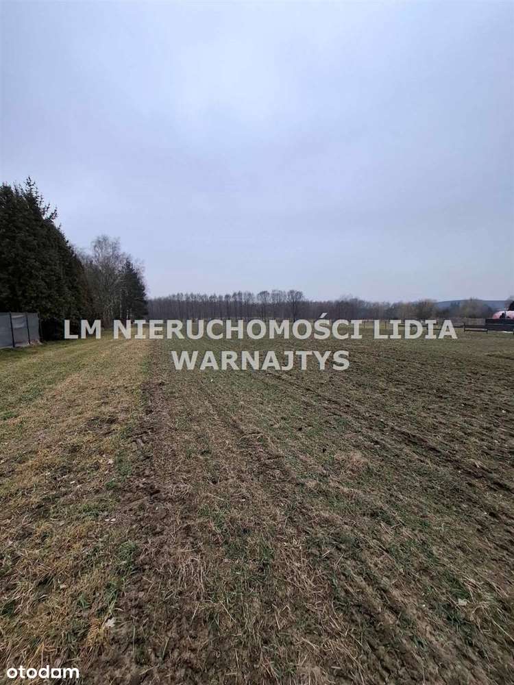 Działki budowlane w Dębieńsku !!-4