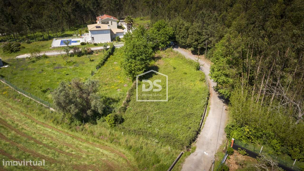 Terreno  Venda em Canedo, Vale e Vila Maior,Santa Maria da Feira - Grande imagem: 2/11
