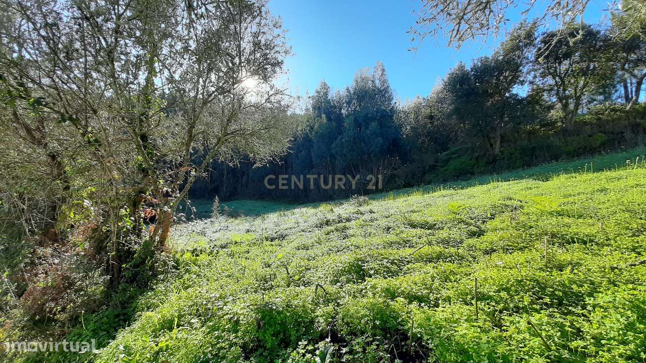 Terreno com projeto aprovado de Moradia Isolada T3 - Picão - Grande imagem: 4/13