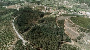 Terreno com ruina / Covilhã, Serra da Estrela