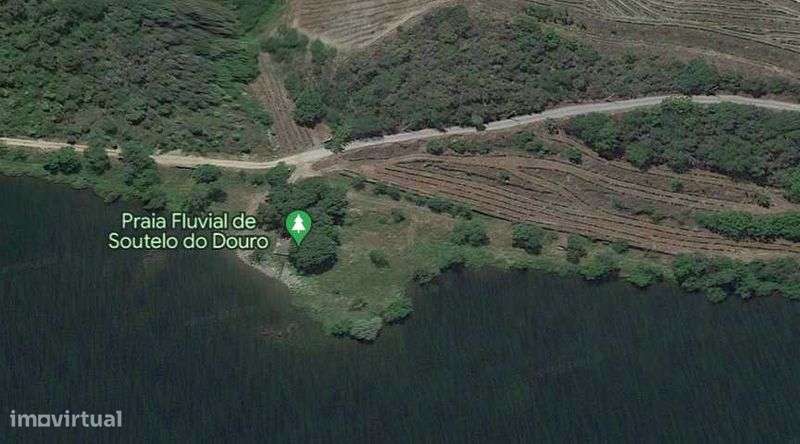 Quintinha no Douro com imóvel para recuperar - Grande imagem: 5/5