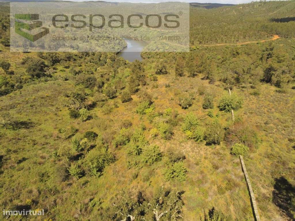 Terreno Florestal a confinar com o Rio Ponsul - Grande imagem: 3/30