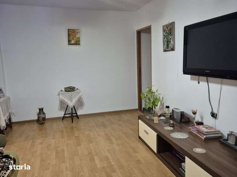 Militari Gorjului Iuliu Maniu stradal-0